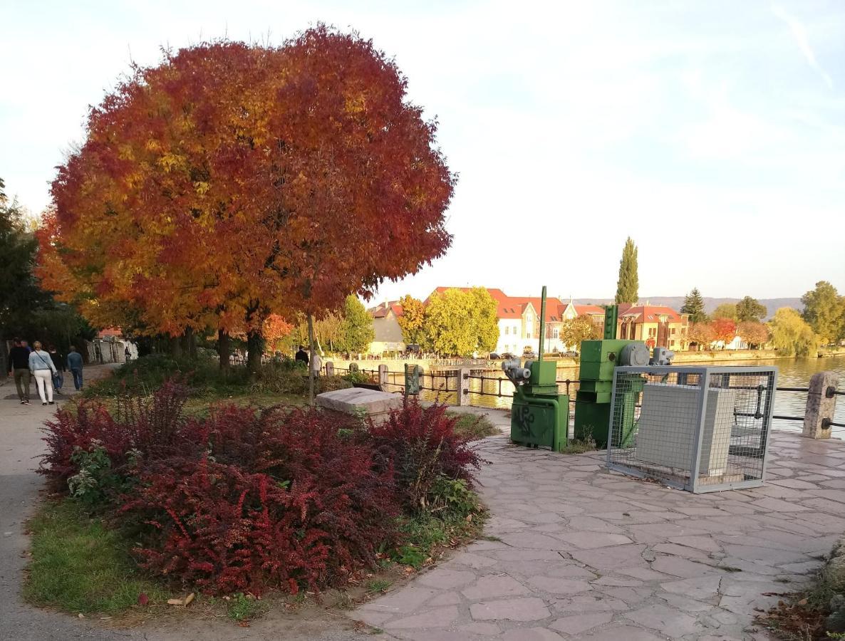 Panzio Tata Bed and Breakfast Buitenkant foto